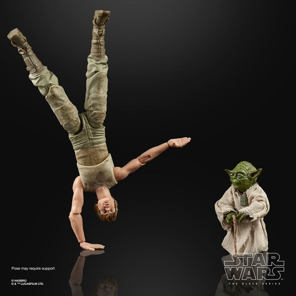 Star Wars The Black Series Luke Skywalker and Yoda (Jedi Training