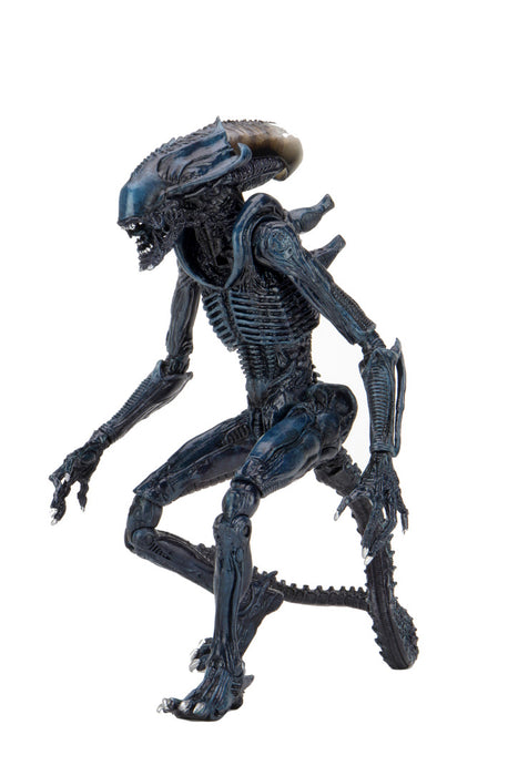 Alien vs Predator Arachnoid Alien (Movie Deco) 7-Inch Scale Action Figure