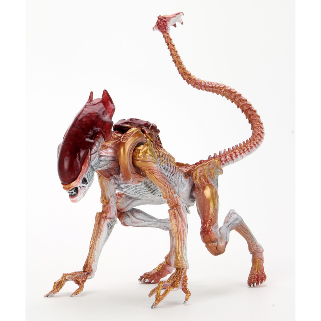 PantherAlien_1024x1024.png?v=
