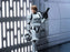 Blokees Star Wars: A New Hope Champion Class 04 Luke Skywalker (Stormtrooper Disguise) Model Kit