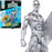 Fantastic Four Marvel Legends Series Silver Surfer 6-Inch Action Figure