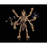 Infinite Legions: Skeleton Warriors Aracula Deluxe Action Figure