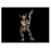 Mythic Legions: The Roleplaying Game Barbarian Character Pack