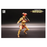 Combatants Fight For Glory Berenice 1/12 Scale Action Figure
