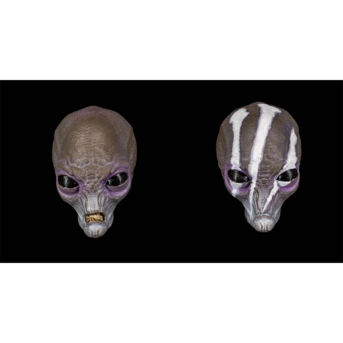 Cosmic Legions Greyborn Cosmic Character Pack