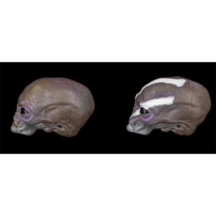 Cosmic Legions Greyborn Cosmic Character Pack