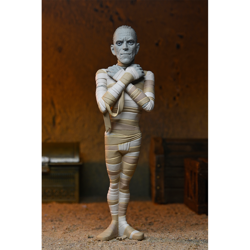 Toony Terrors Series 10 6-Inch Scale The Mummy Action Figure