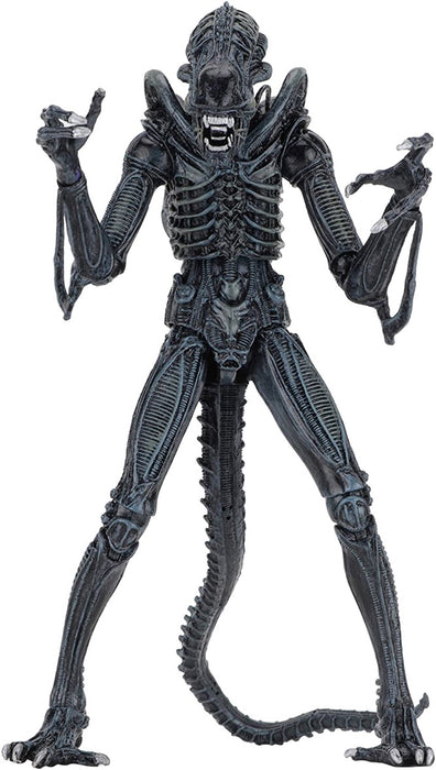 Aliens Ultimate Alien (Blue) Warrior (1986) 7-Inch Scale Action Figure
