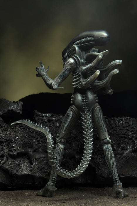 Alien 40th Anniversary Wave 4 – Ripley 7-Inch Scale Action Figure — Chubzzy  Wubzzy Toys & Collectibles