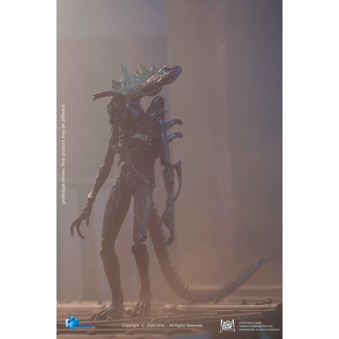 Aliens Headshot Alien Warrior 1:18 Scale Action Figure — Chubzzy Wubzzy ...