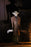 Toony Terrors (Nosferatu) 6-Inch Scale Count Orlok Action Figure