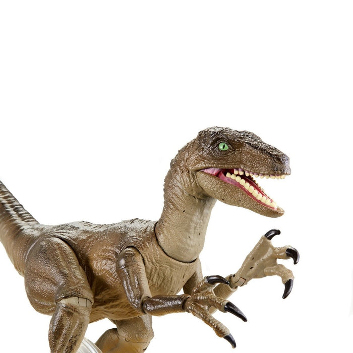 Jurassic World Amber Collection Velociraptor Action Figure