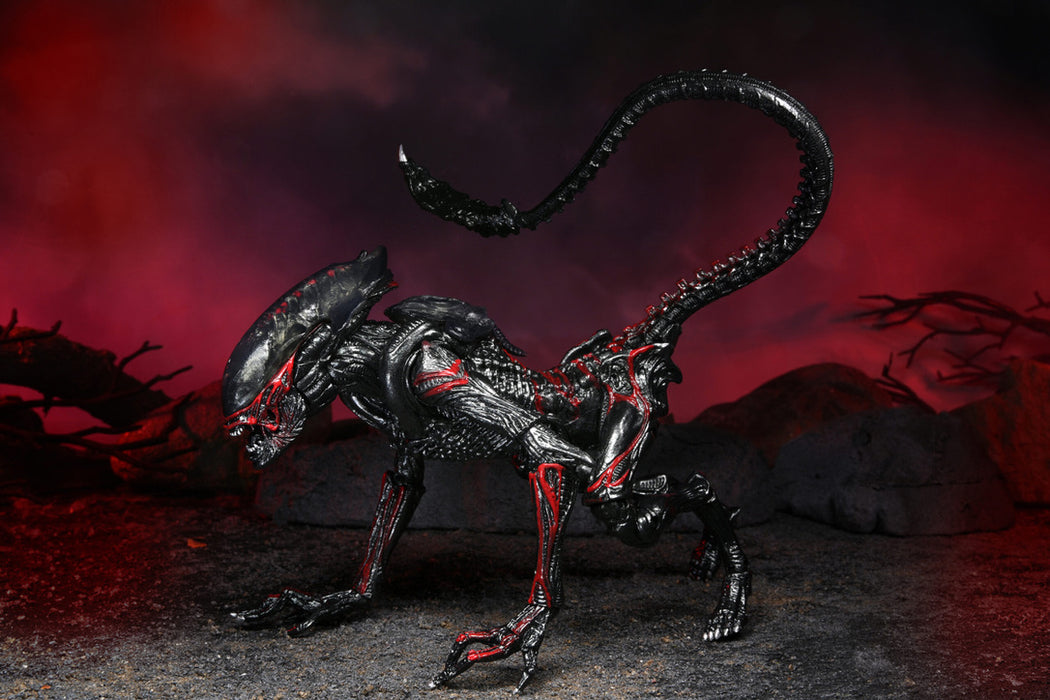 Aliens Kenner Tribute Night Cougar Alien 7-Inch Scale Action Figure