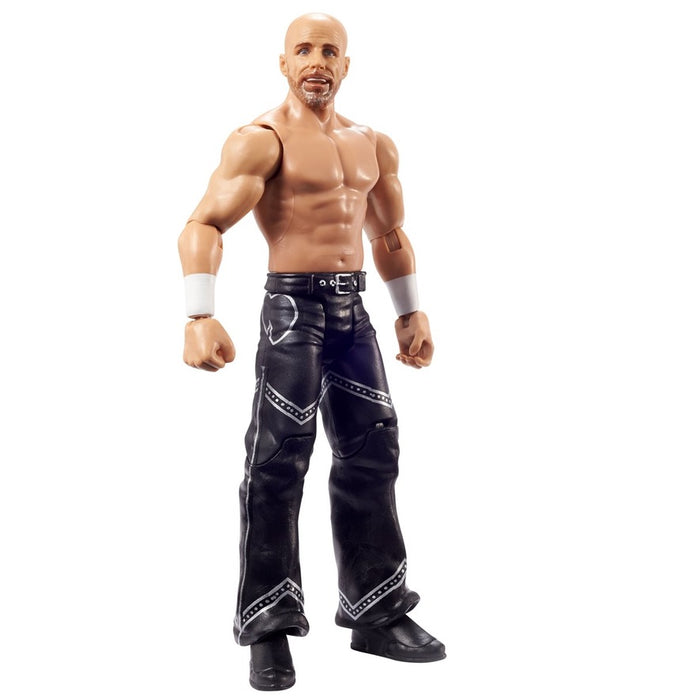 WWE Basic Series 120 Shawn Michaels Action Figure