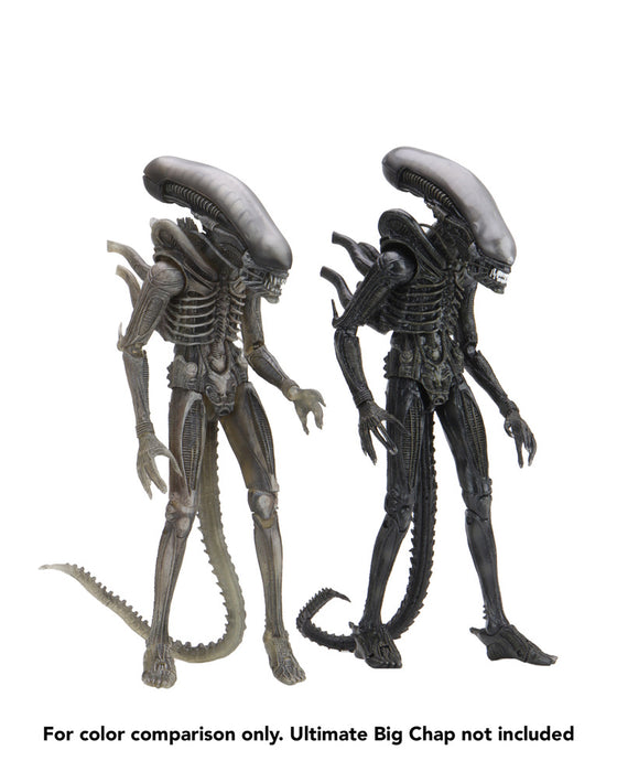 Alien 40th Anniversary - 7 Action Figure: Ripley (Compression