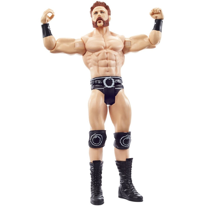WWE Basic Figure Series 116 Sheamus Action Figure
