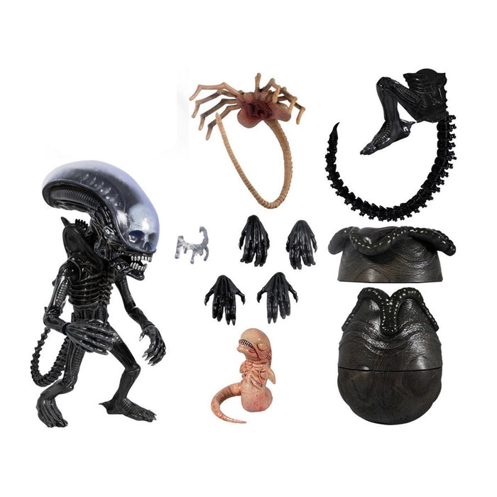 Aliens Scale to 7 Inch Action Figure - Xenomorph eggs and facehuggers