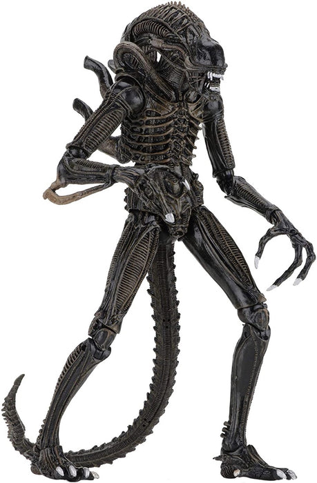 Aliens Ultimate Alien (Brown) Warrior (1986) 7-Inch Scale Action Figure